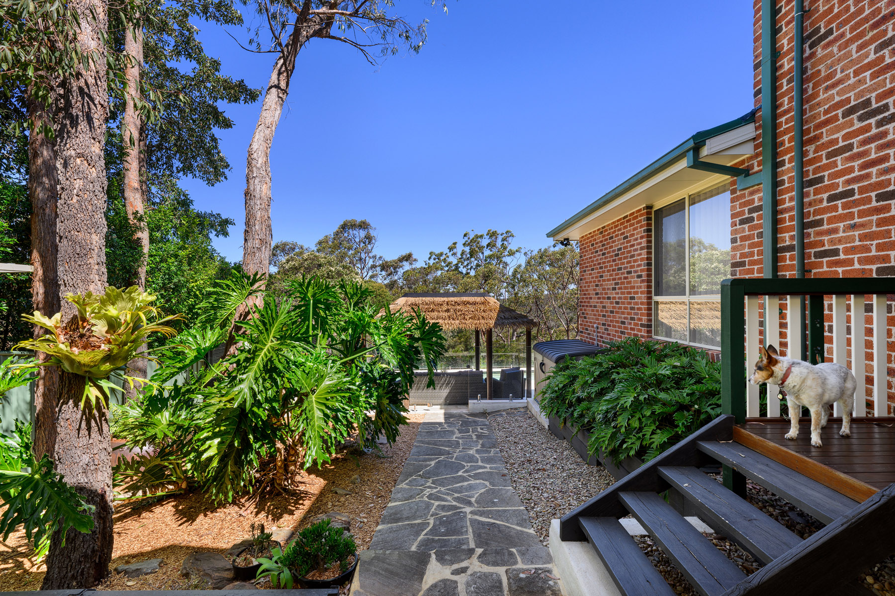 66 Coolabah Road, VALLEY HEIGHTS, NSW 2777 Australia