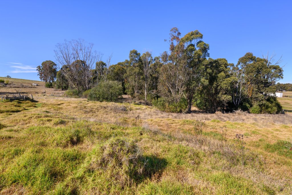 230-236 Castle Road, Orchard Hills - Thumbnail 6