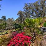 51-53 Queens Road, LAWSON, NSW 2783 Australia