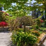 51-53 Queens Road, LAWSON, NSW 2783 Australia