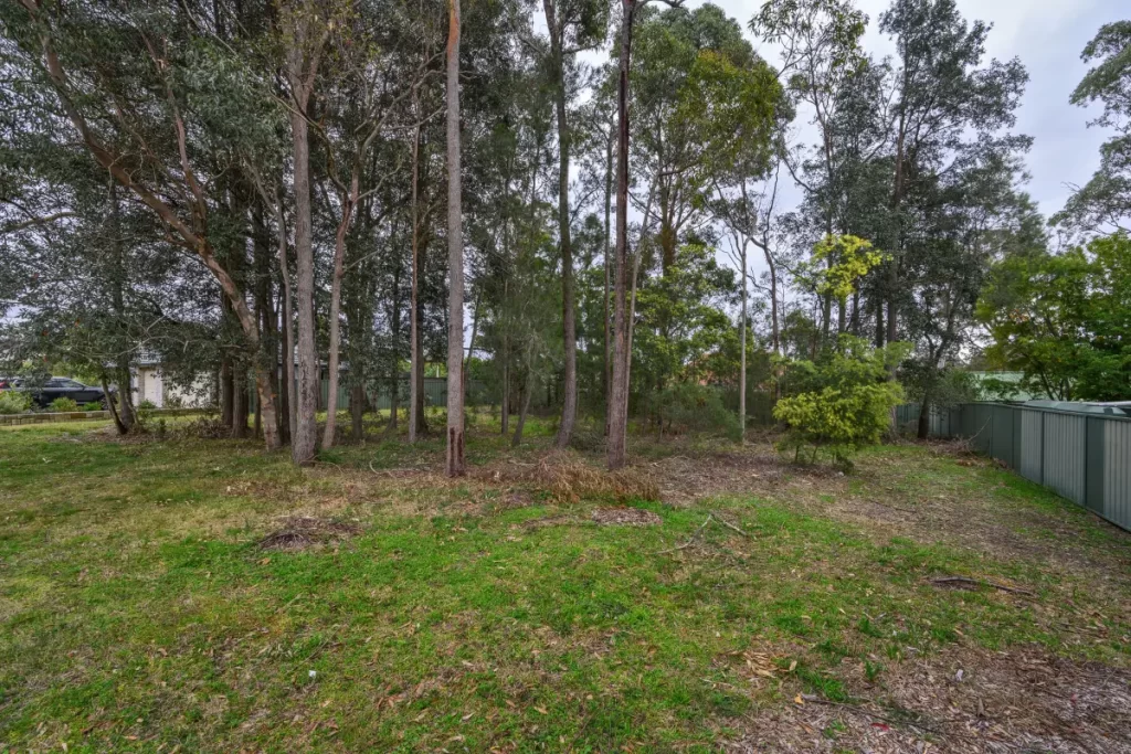43 Coughlan Road, Blaxland - Thumbnail 3