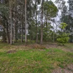 43 Coughlan Road, BLAXLAND, NSW 2774