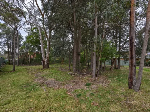 43 Coughlan Road, BLAXLAND, NSW 2774