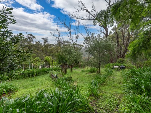 14 Parkes Crescent, FAULCONBRIDGE, NSW 2776 Australia