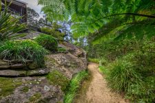 16 Jacaranda Avenue, BLAXLAND, NSW 2774 Australia