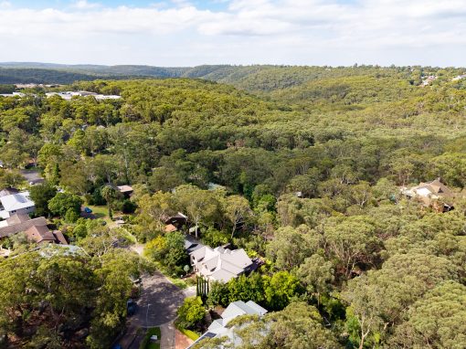 16 Jacaranda Avenue, BLAXLAND, NSW 2774 Australia