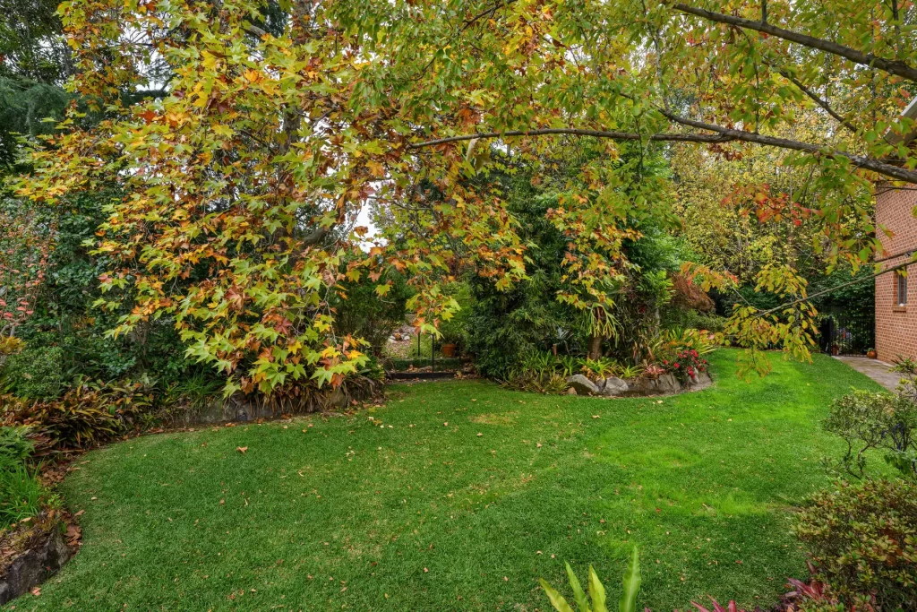 35 Davies Avenue, Springwood - Image 1