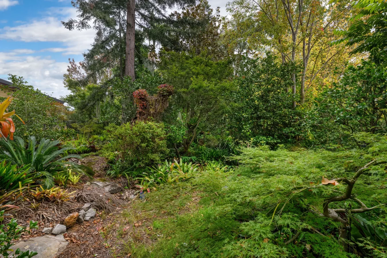 35 Davies Avenue, SPRINGWOOD, NSW 2777