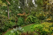 35 Davies Avenue, SPRINGWOOD, NSW 2777