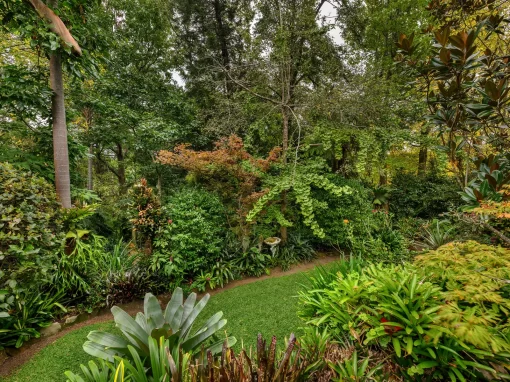 35 Davies Avenue, SPRINGWOOD, NSW 2777