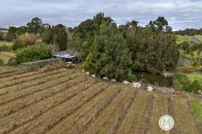 33 Homestead Road, ORCHARD HILLS, NSW 2748 Australia