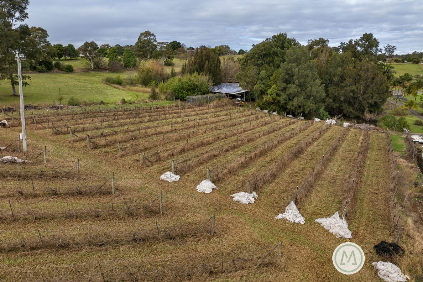 33 Homestead Road, ORCHARD HILLS, NSW 2748 Australia