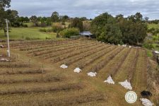 33 Homestead Road, ORCHARD HILLS, NSW 2748 Australia