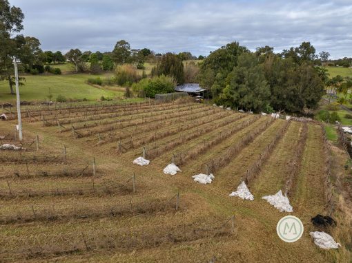 33 Homestead Road, ORCHARD HILLS, NSW 2748 Australia