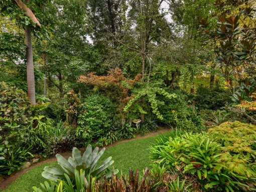35 Davies Avenue, SPRINGWOOD, NSW 2777 Australia