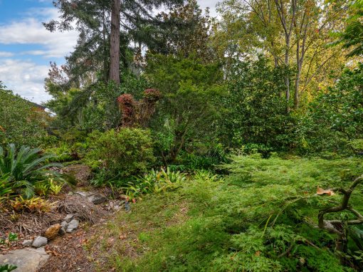 35 Davies Avenue, SPRINGWOOD, NSW 2777 Australia