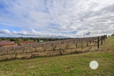 33 Homestead Road, ORCHARD HILLS, NSW 2748 Australia