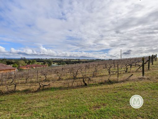 33 Homestead Road, ORCHARD HILLS, NSW 2748 Australia