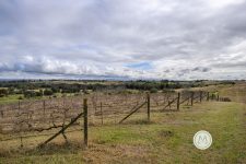 33 Homestead Road, ORCHARD HILLS, NSW 2748 Australia