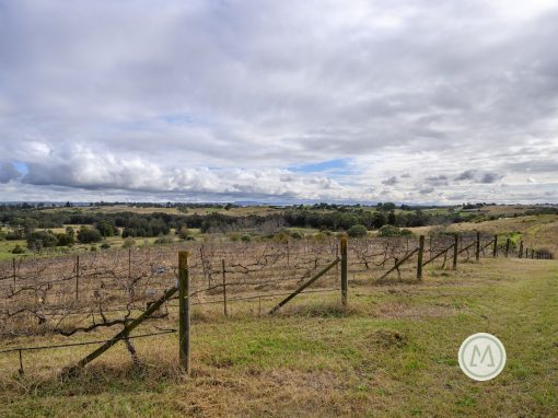 33 Homestead Road, ORCHARD HILLS, NSW 2748 Australia