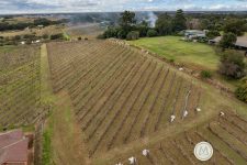 33 Homestead Road, ORCHARD HILLS, NSW 2748 Australia