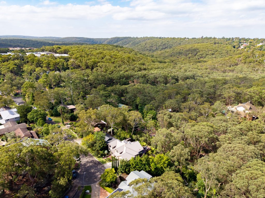 16 Jacaranda Avenue, Blaxland - Thumbnail 4